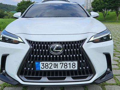 صورة 9 لـ 2026 Lexus NX