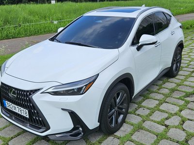 صورة 4 لـ 2026 Lexus NX