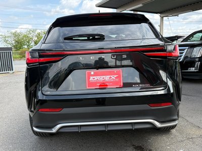 LEXUS NX - 8