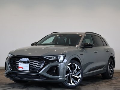 2024 AUDI Q8 E-TRON 照片 1