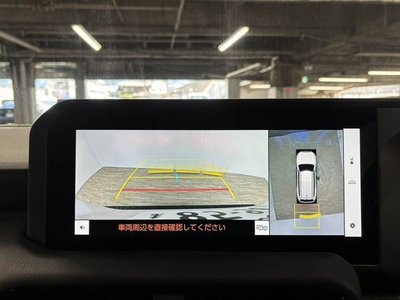 2024 Toyota LAND CRUISER 250 照片 4