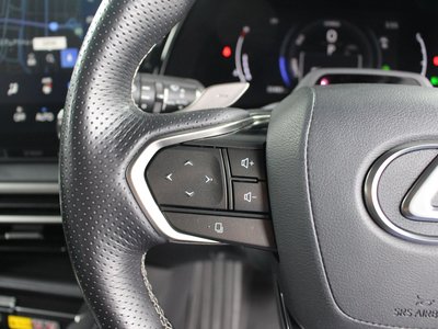 2024 Lexus RX thumbnail 13