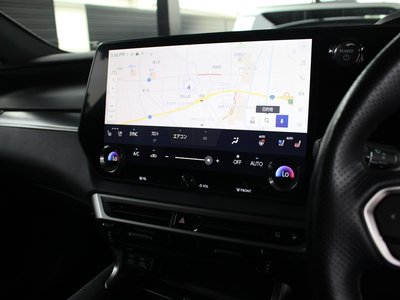 2024 Lexus RX thumbnail 19