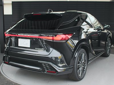 2024 Lexus RX photo 8