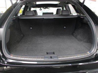 2024 Lexus RX thumbnail 26