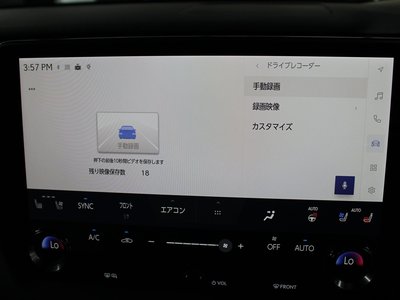 2024 Lexus RX thumbnail 21