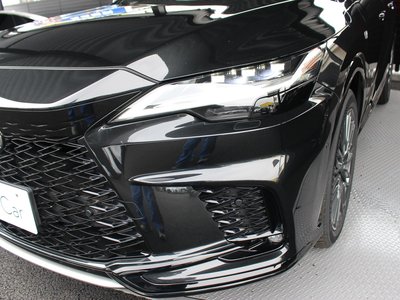 2024 Lexus RX thumbnail 31