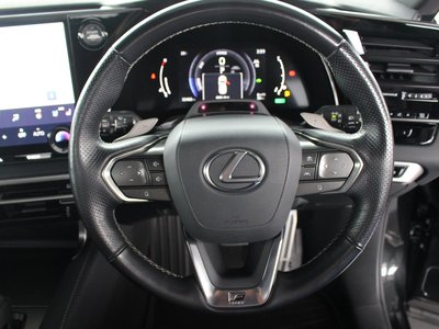 2024 Lexus RX thumbnail 15