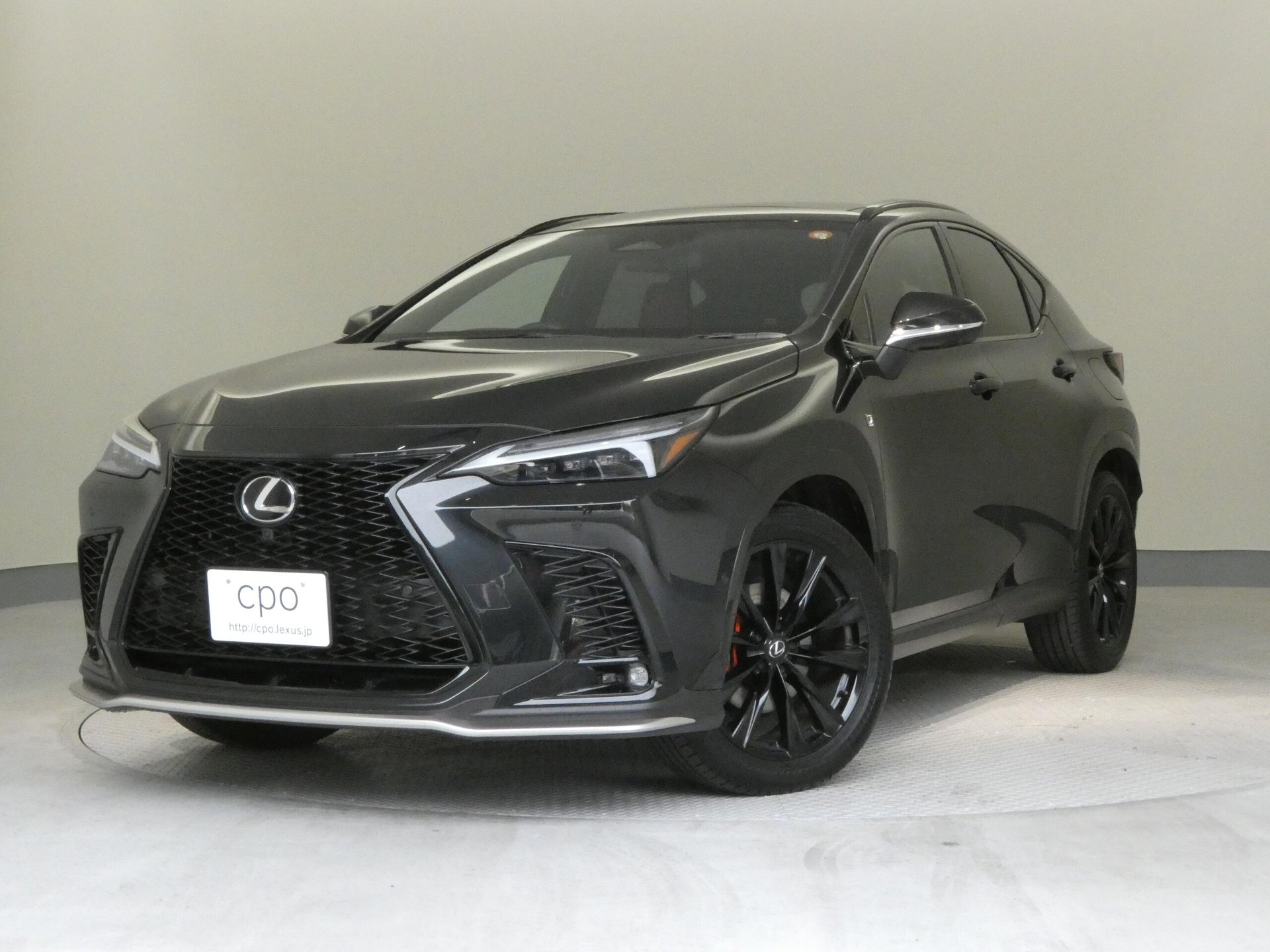 LEXUS NX - View 1