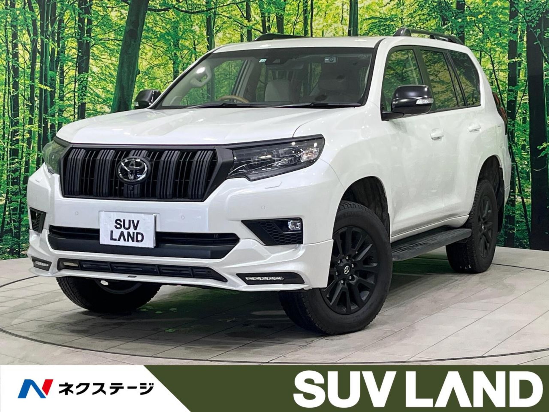 TOYOTA LAND CRUISER PRADO - View 1
