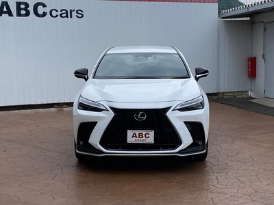 LEXUS NX - 8