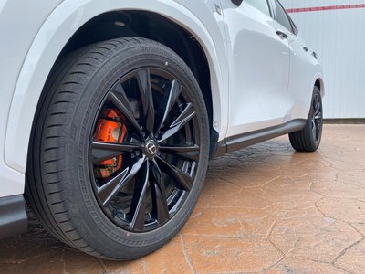 LEXUS NX - 10