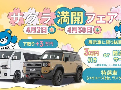 TOYOTA LAND CRUISER PRADO - 2