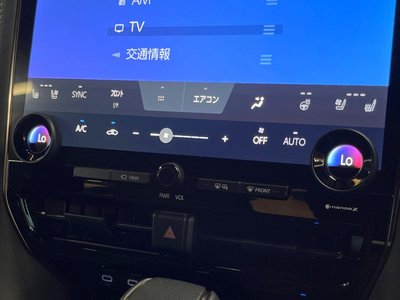 2025 Toyota ALPHARD 缩略图 49