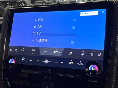 2025 Toyota ALPHARD 缩略图 47