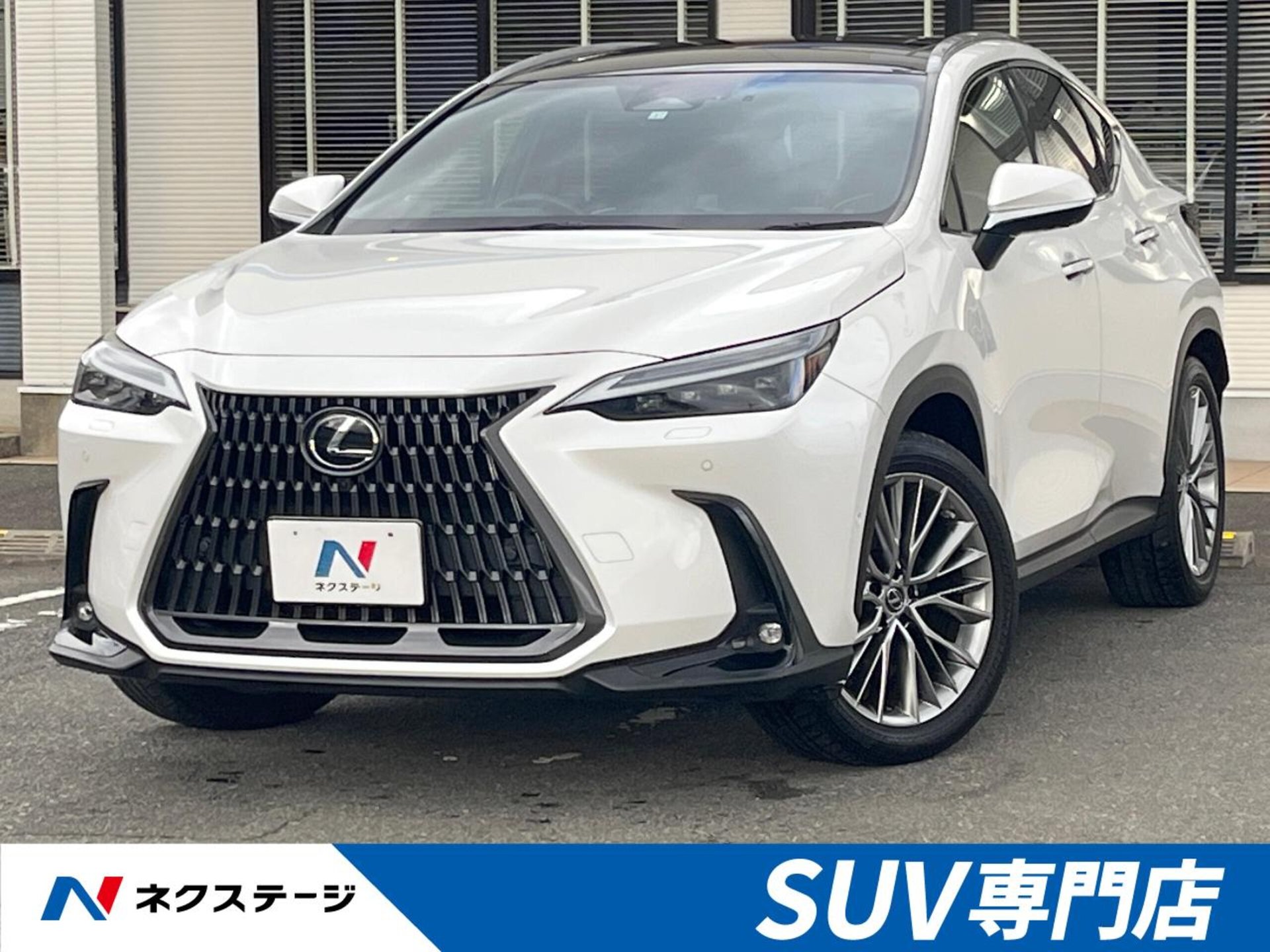 LEXUS NX - View 1