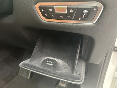 2020 BMW X7 缩略图 31
