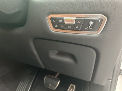 2020 BMW X7 缩略图 30
