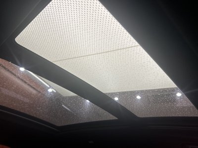 2020 BMW X7 缩略图 38