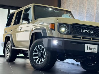 2025 Toyota LAND CRUISER 70 photo 6