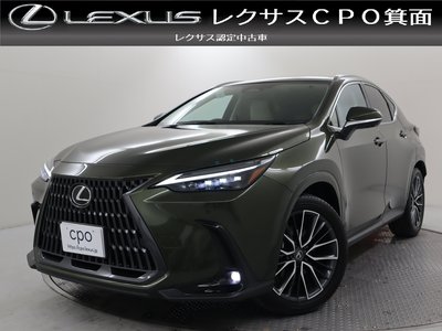LEXUS NX - 1