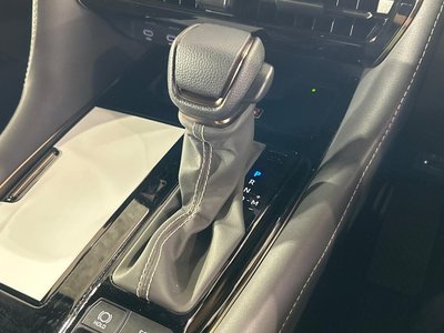 2024 TOYOTA ALPHARD 缩略图 61