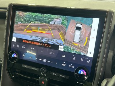 TOYOTA ALPHARD - 7