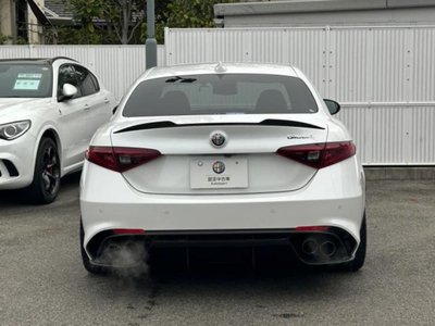 2019 ALFA Romeo JULIA 照片 7