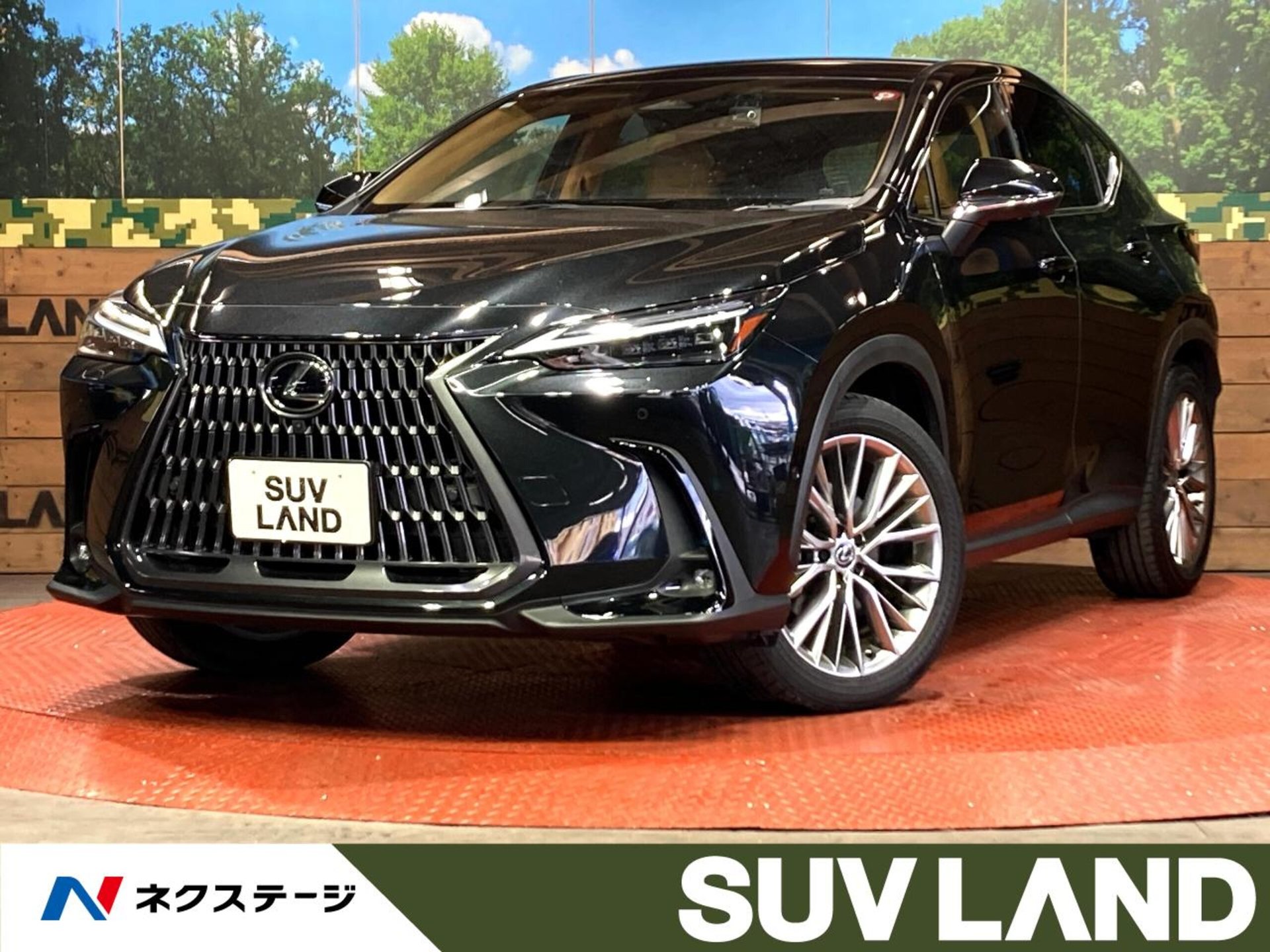 LEXUS NX - View 1