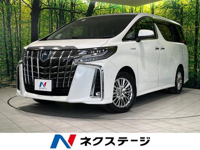 2021 Toyota ALPHARD 照片 1