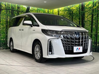 2021 Toyota ALPHARD thumbnail 17
