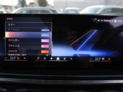 صورة مصغرة 29 لـ 2024 BMW X5