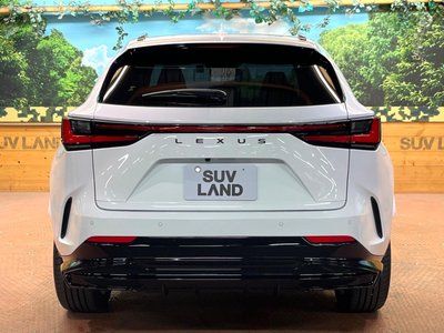 2022 Lexus NX — миниатюра 17