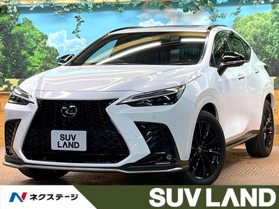 2022 Lexus NX 照片 1