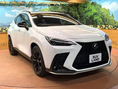 2022 Lexus NX — миниатюра 57