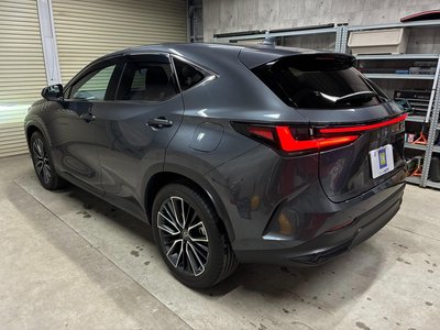 LEXUS NX - 6