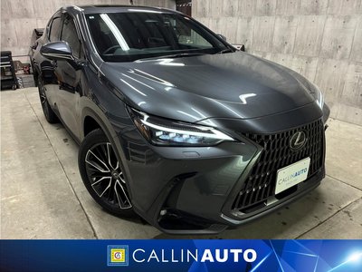 LEXUS NX - 1