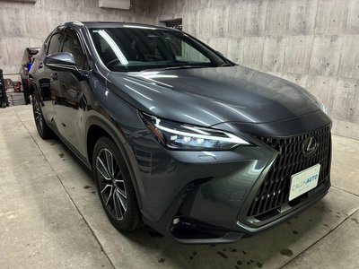 LEXUS NX - 3