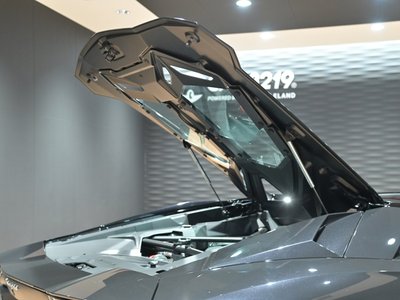 2019 Lamborghini AVENTADOR ROADSTER — миниатюра 31