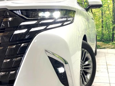 2025 TOYOTA ALPHARD thumbnail 14