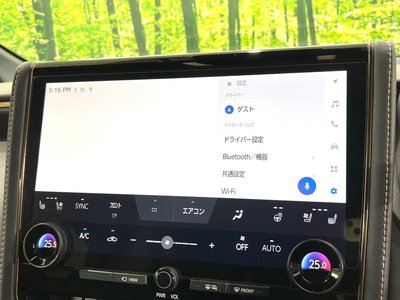 2025 TOYOTA ALPHARD thumbnail 33