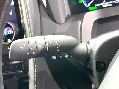 2025 TOYOTA ALPHARD thumbnail 29