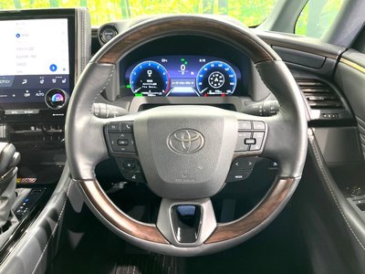 2025 TOYOTA ALPHARD thumbnail 13