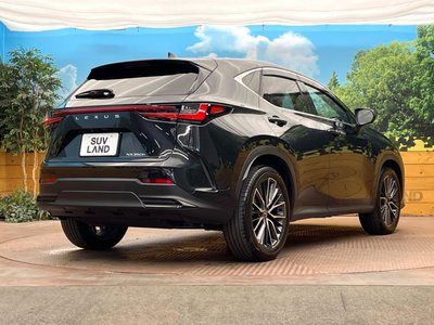2023 Lexus NX — миниатюра 17