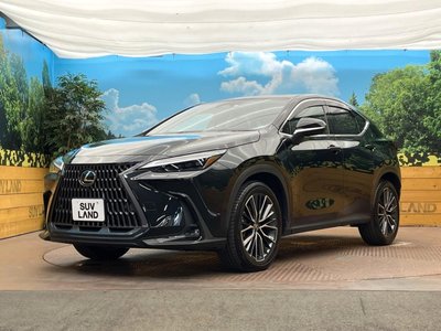 2023 Lexus NX — миниатюра 30