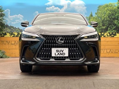 2023 Lexus NX — миниатюра 14