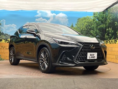 2023 Lexus NX — миниатюра 16