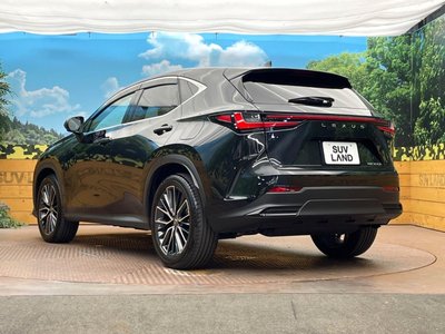 2023 Lexus NX — миниатюра 32