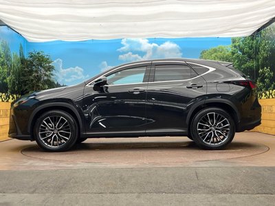 2023 Lexus NX — миниатюра 33