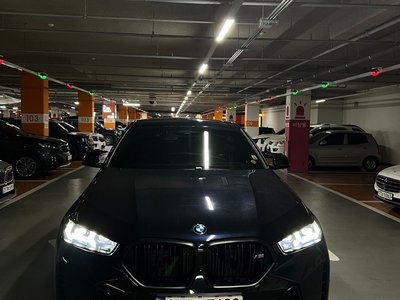 BMW X6 - 1